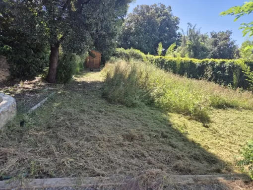 Débroussaillement Flayosc