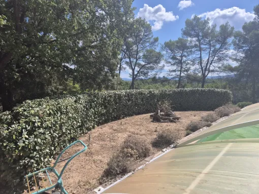 Taille d'une haie d'Eleanus à Lorgues pour favoriser sa densification, Lorgues, FITO Élagage