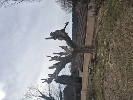 La taille d'un platane au Thoronet par mesure de sécurité, Lorgues, FITO Élagage