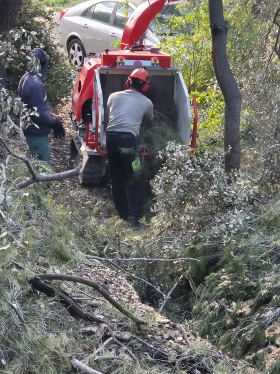 Broyeur à chenilles à Lorgues 