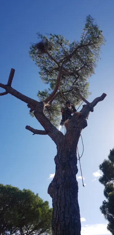 Coupe par démontage d'un pin dangereux 