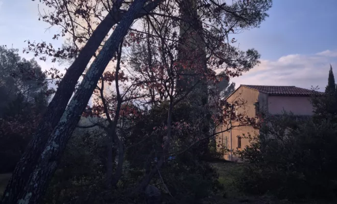Abattage de pins dans une propriété privée à Flayosc, Lorgues, FITO Élagage