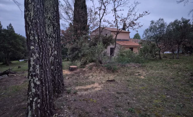 Abattage de pins dans une propriété privée à Flayosc, Lorgues, FITO Élagage