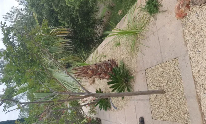 C'est le printemps, la période idéale pour faire des plantations et la création de jardins à Lorgues, Lorgues, FITO Élagage