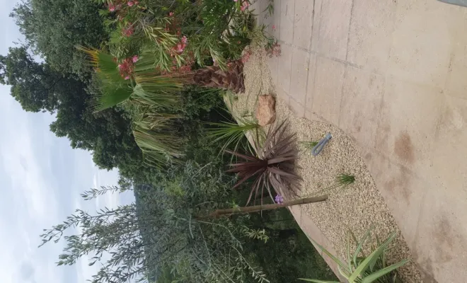 C'est le printemps, la période idéale pour faire des plantations et la création de jardins à Lorgues, Lorgues, FITO Élagage