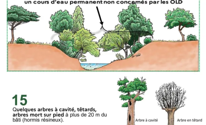 Débroussaillement obligatoires autour des habitations, Lorgues, FITO Élagage