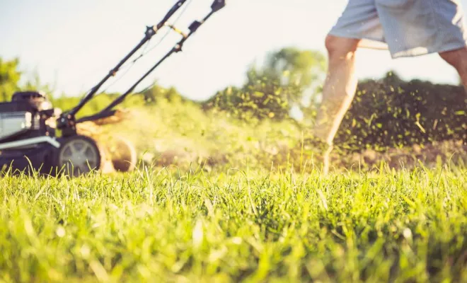 Entretien et débroussaillage, Lorgues, FITO Élagage