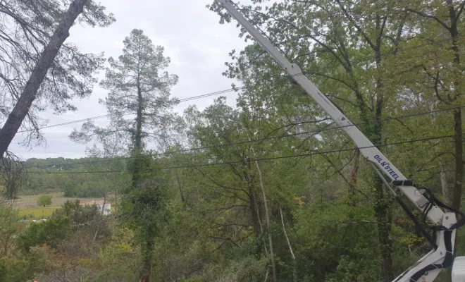 Abattage d'arbres avec une nacelle à Lorgues , Lorgues, FITO Élagage