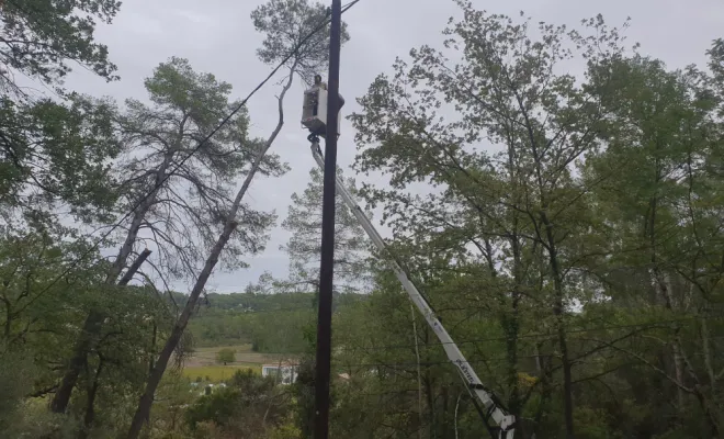 Abattage d'arbres avec une nacelle à Lorgues , Lorgues, FITO Élagage