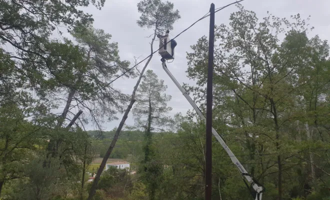 Abattage d'arbres avec une nacelle à Lorgues , Lorgues, FITO Élagage