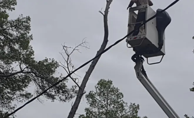Abattage d'arbres avec une nacelle à Lorgues , Lorgues, FITO Élagage